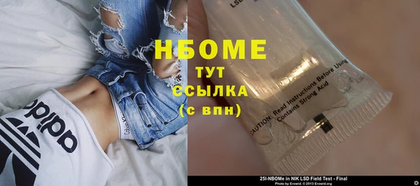 spice Няндома