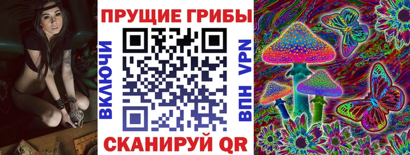 купить закладку  Первоуральск  Галлюциногенные грибы MAGIC MUSHROOMS 